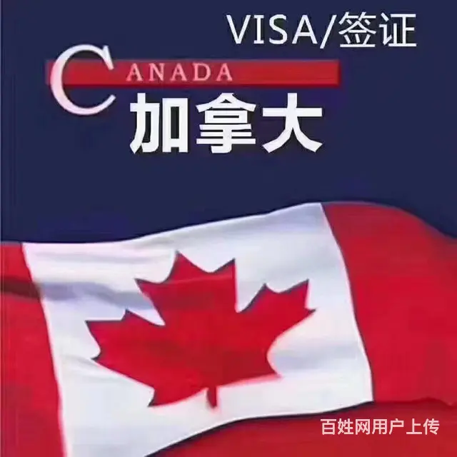 专业办理美国加拿大一手签证 - 图片 2
