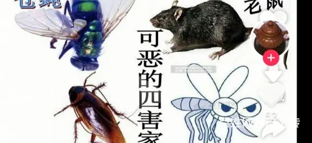 东捷环保科技专业治理甲醛 - 图片 9