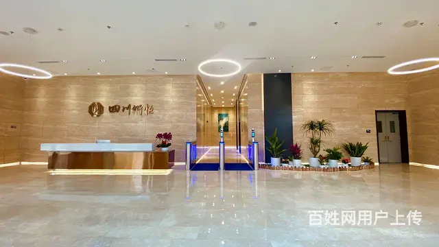 天府菁蓉中心兴隆湖低密阔办公全装全配环保办公家居 - 图片 3