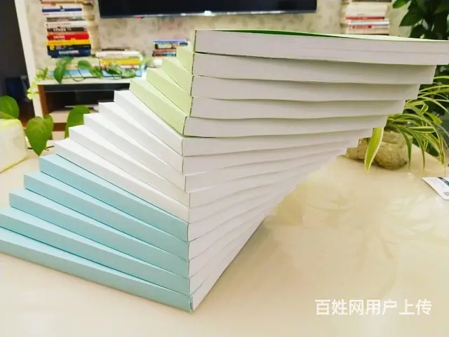 本地保洁标书制作，环卫标书制作，各种标书代写 - 图片 9
