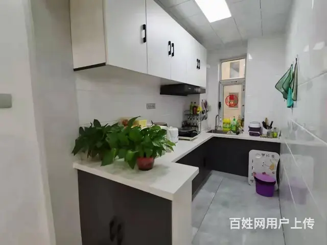 鑫久花园 押一付一 盛世新城 拎包入住 电梯两室楼 - 图片 2