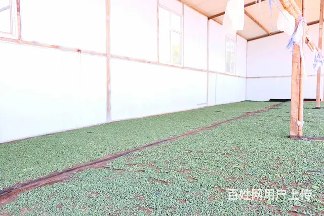 4800（商客网）楚雄武定2000亩大型农庄转让 - 图片 11
