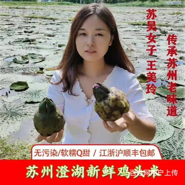 苏州特产水八仙新鲜鸡头米1斤2斤3斤礼盒装 - 图片 1