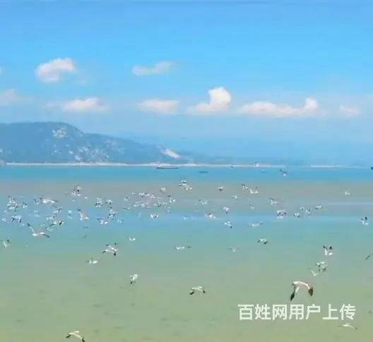 组合新家庭 - 图片 1