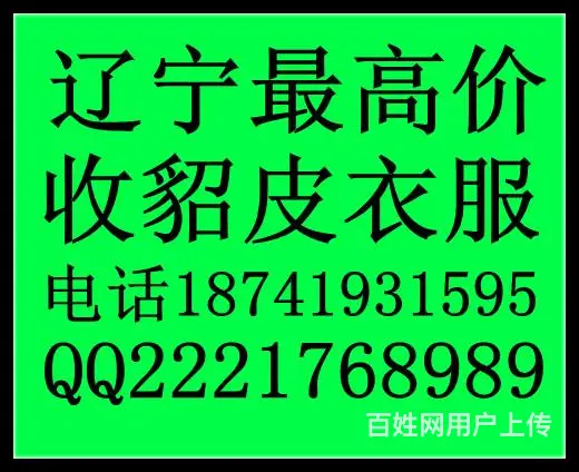 四平收貂的  四平哪有收貂的 四平貂皮回收最高价 - 图片