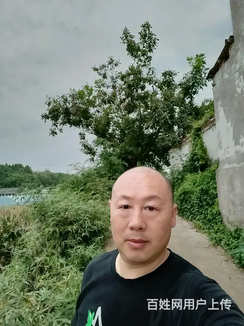 真心换真心一心一意找对象一起过简单一点快乐一点开心 - 图片 1