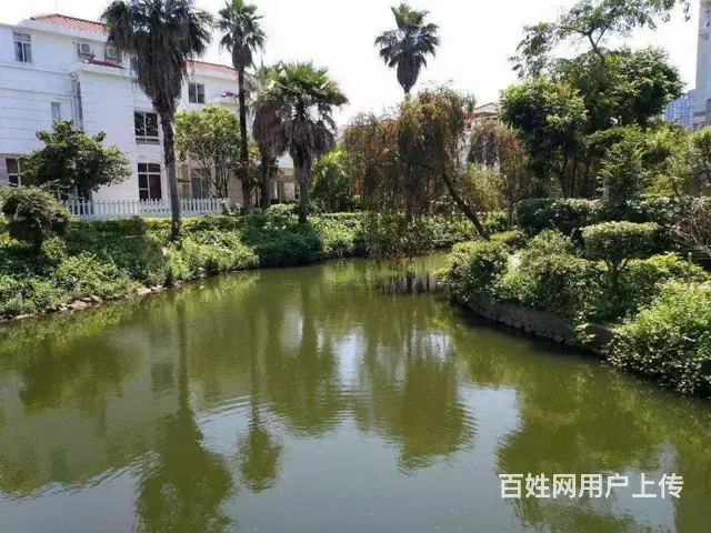 凤翠苑古典五房 对公共花园位置安静 靠近湖边带露台 - 图片 11