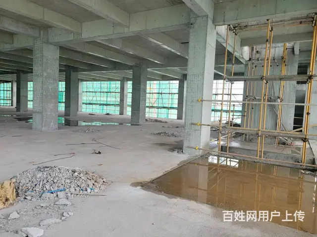 珠海唐家湾 独栋厂房2700平起 准现房 企业总部 独立产权 - 图片 10