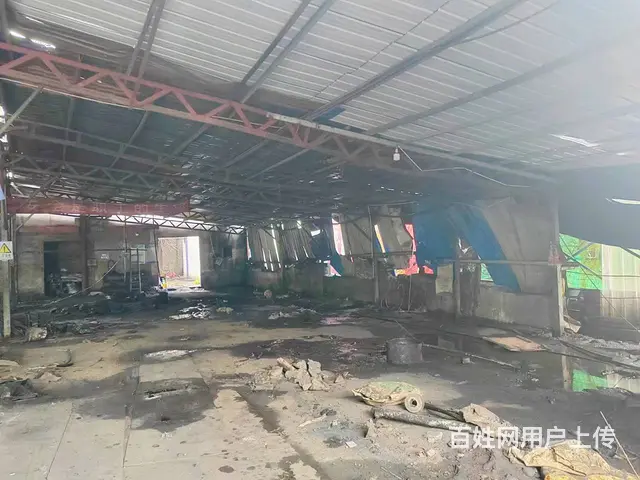 （老板本人）开福区开福大道凤羽村厂房仓库房东直租  6231 - 图片 5
