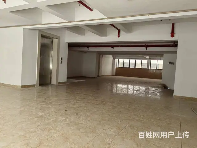 （51旺铺推荐）林安国际商贸城400平整栋楼岀租 - 图片 3