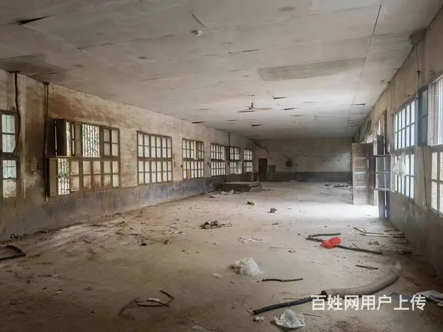 （老板本人）岳麓区周边厂房/仓库房东低价出租  5785 - 图片 2