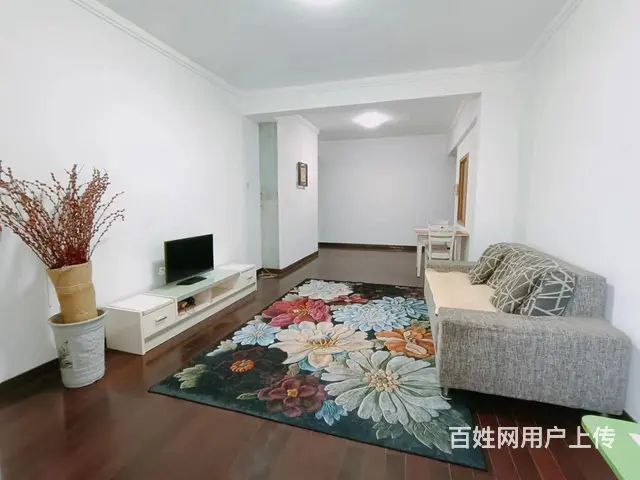 急售周正两房 湘雅附一 省妇幼兴汉门 金地大厦 兴汉大厦 - 图片 1
