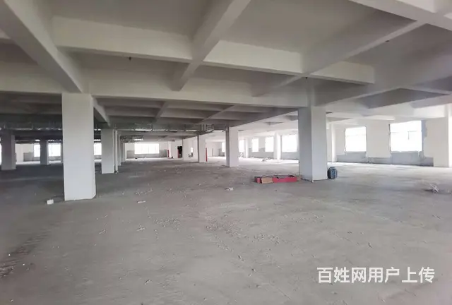 董浜全新厂房4楼2500平，丙二类消防，有蒸汽，2部5吨货梯 - 图片 1