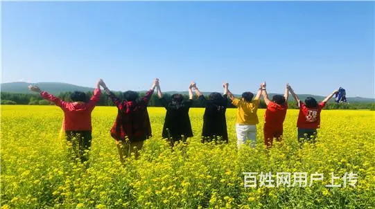 呼伦贝尔鄂温克族呼伦贝尔包车那里好呼伦贝尔带司机包车服务 - 图片 3