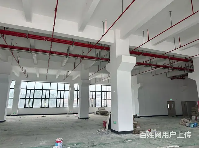 平沙工业区200亩厂房低价出售，每年收租 - 图片 1