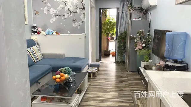 可租可售 市区步行街路口星河时代电梯正规1房1厅全屋精装全齐 - 图片 4