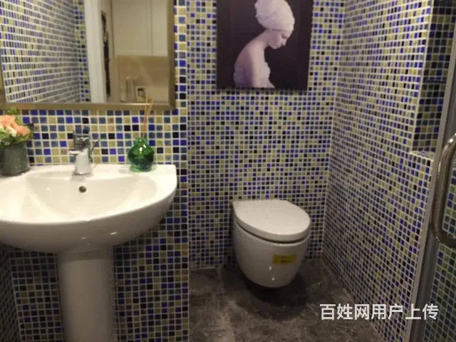 花样年  **** 市政府万达广场旁 花样年2室精装修 - 图片 6