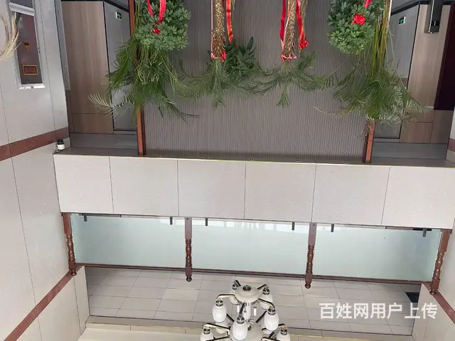 （城市在线找房免费）茅村标准钢结构厂房出租 - 图片 12