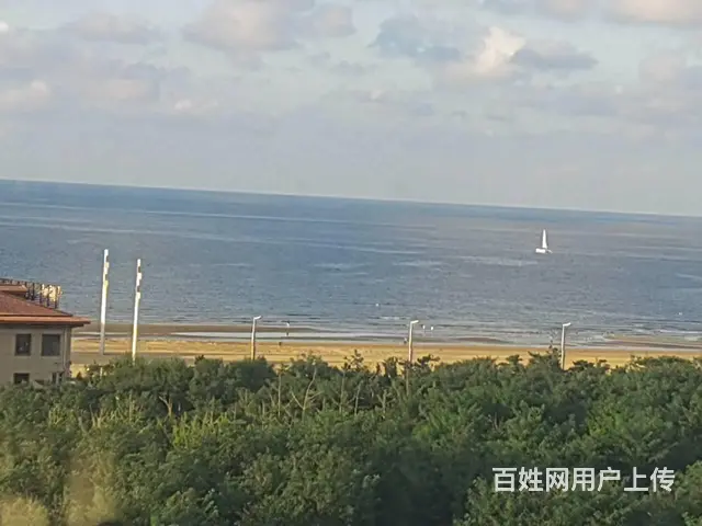 开发区碧海云天 普通住宅2厅 精装修 - 图片 1
