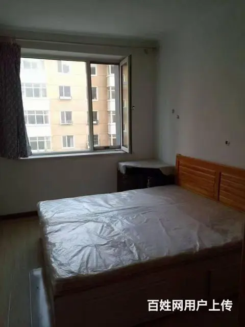 出租浑南新区音乐学院附近 - 图片 4