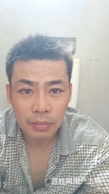 征婚 - 图片 1