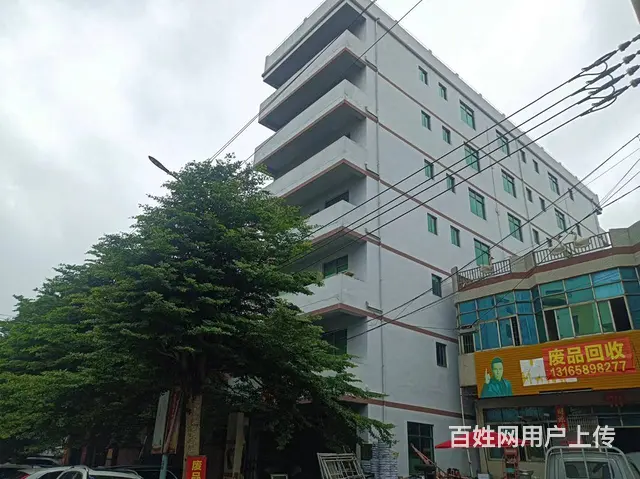 （51旺铺推荐）澄迈县白莲主车道1700平整栋楼招租 - 图片 1