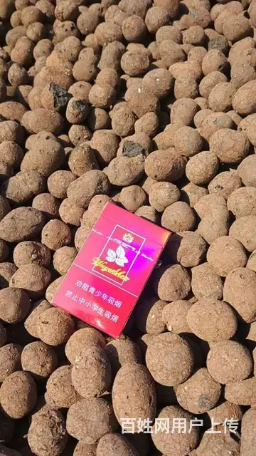 怀化陶粒 厂家直销回填陶粒 页岩陶粒 陶粒滤料 - 图片 9