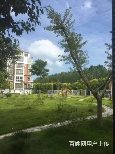 江苏盐城大丰住宅/首付2万/首付2万/首付2万 - 图片 8