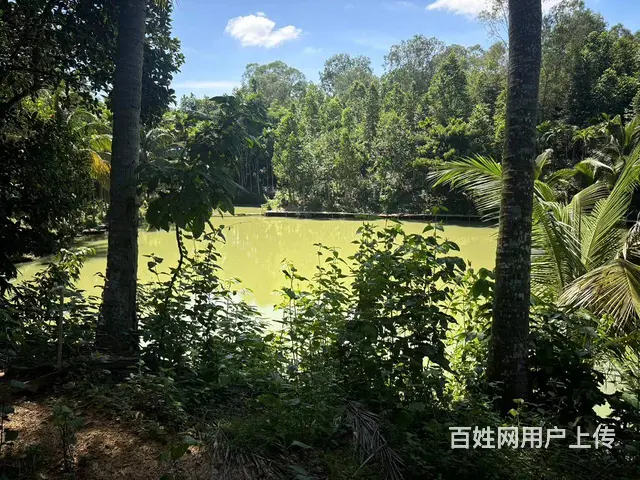 （51旺铺推荐）吉阳区大茅3000平露营基地转让 - 图片 11