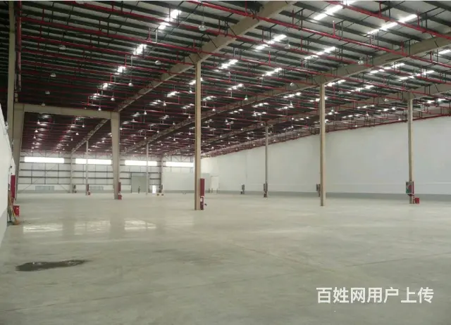 秀洲 嘉兴光伏科技园 标准仓库出租 1.5万平 - 图片 2