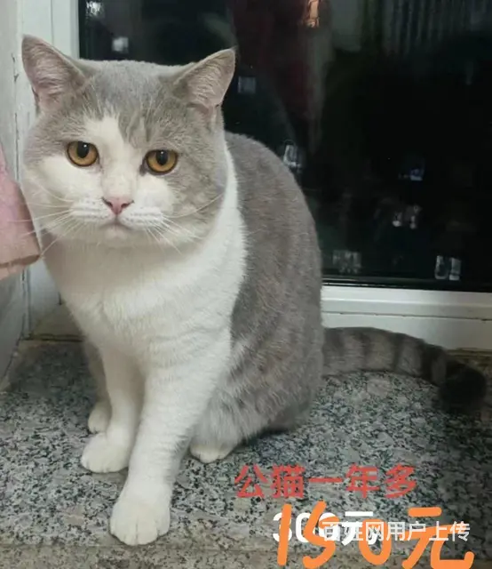 一个不留 - 图片 2
