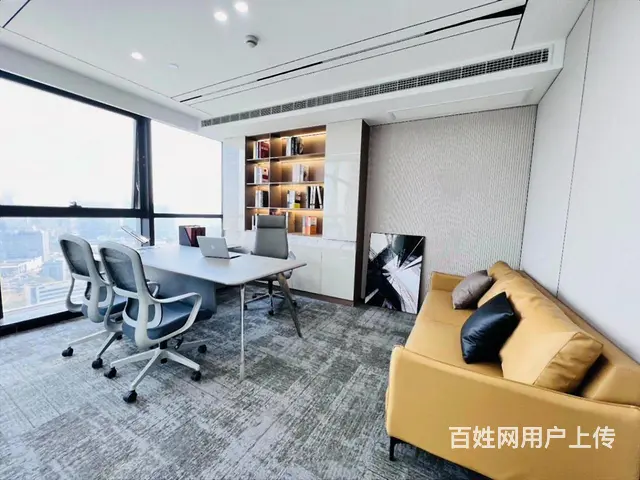 星耀城 2期，全新豪华装修 ，6米挑高，双地铁口，家具配齐全 - 图片 11