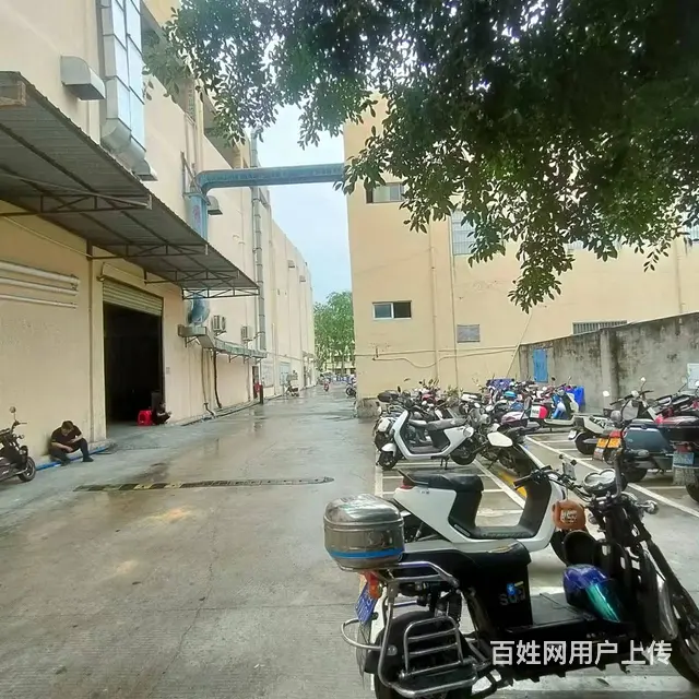 （51旺铺推荐）胜利路旺豪超市40平仓库出租 - 图片 1