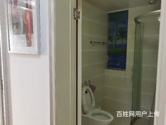 优价出租兰陵九洲新世界花苑二室二厅精装房 - 图片 3