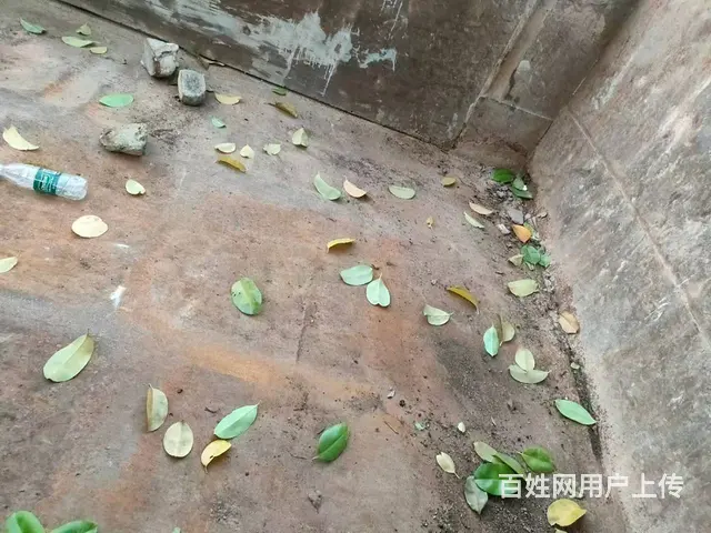 时代汽车 自卸车 - 图片 5