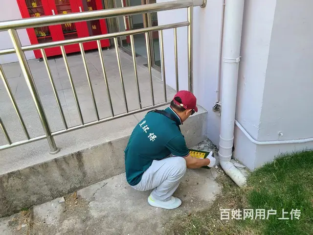 工厂四害消杀 昆山工厂除老鼠灭食品厂除蟑螂杀虫除虫 - 图片 3