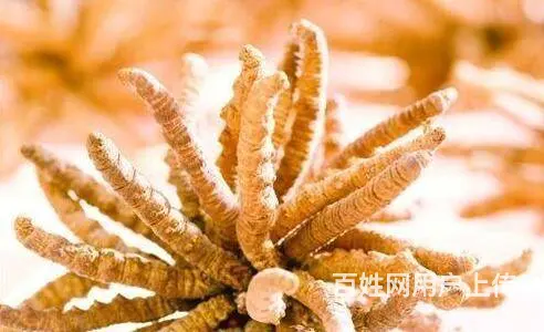 新都收购名烟名酒值得信赖-新都烟酒回收啥价/电话 - 图片 1