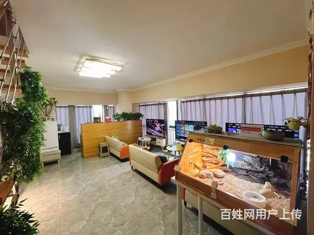 （兴铺）市中心主题电玩桌游店因老板怀孕整体转让 - 图片 1
