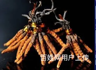 成都新都川音回收烟酒，香烟名酒虫草茅台酒瓶回收上门 - 图片 4