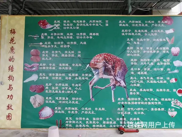 旺铺居）特色农家乐对外出租转让或合作周边环境优美 - 图片 5