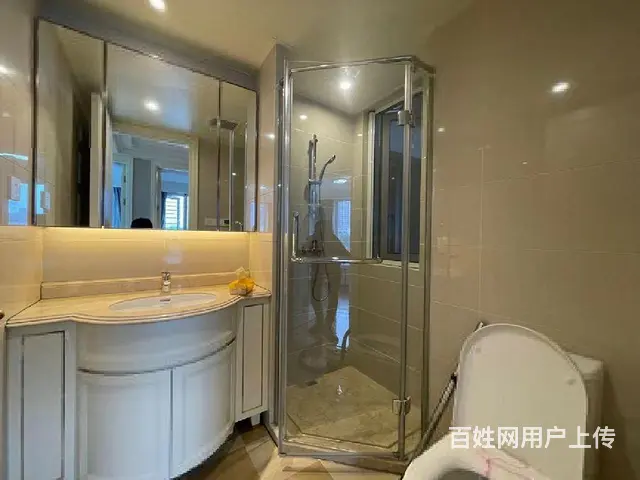 好位置!好房子!南滨江新希望拥潮府全新装修送家电! - 图片 4