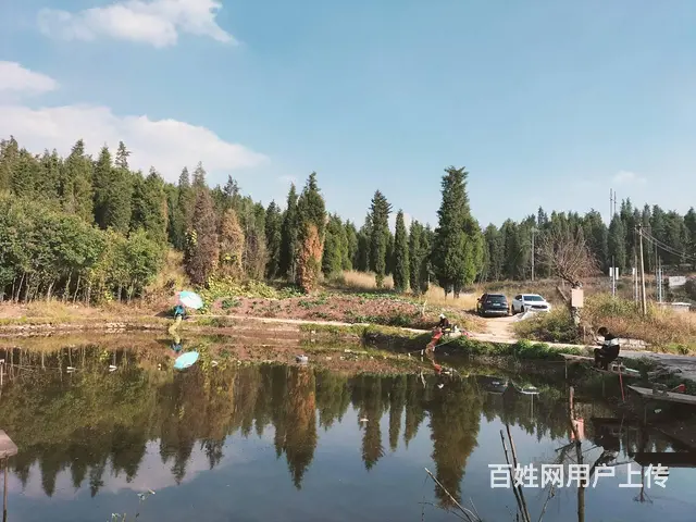 （51旺铺推荐）安宁5亩3个鱼塘转让 - 图片 3